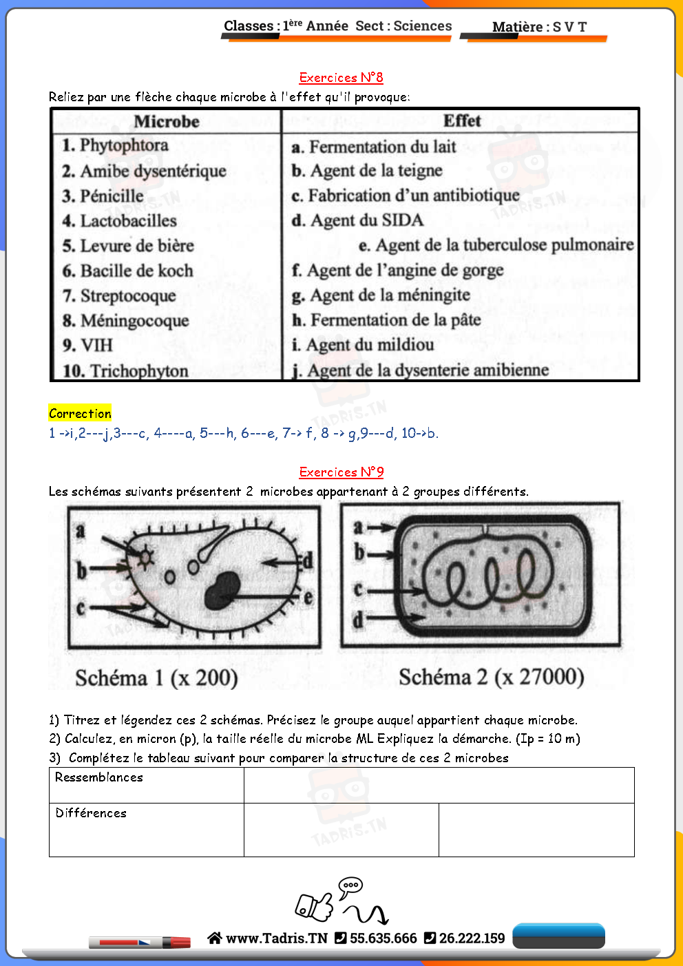 ≡ Les protozoaires : cellules eucaryotes – Les microbes — 1ᴱ̀ᴿᴱ année ...